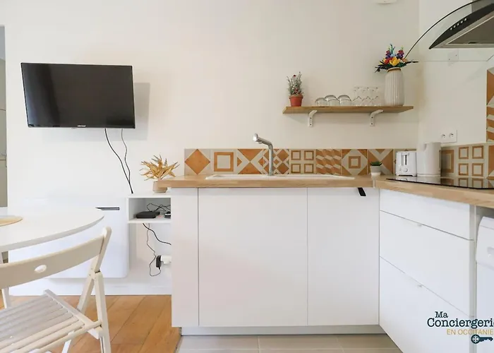 Apartment Lardenne - Parking Hippodrome Zenith Toulouse